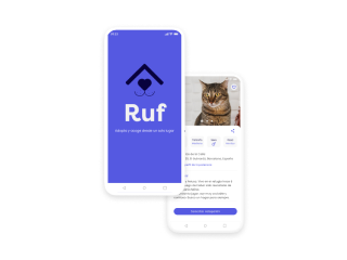 Ruf App Interface